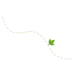 line path image at our story