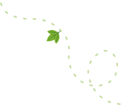our story line path