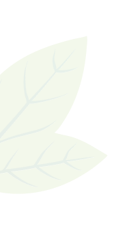 leaf left upside